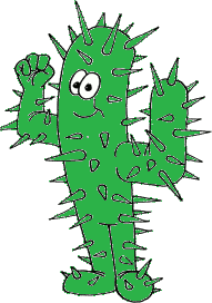 ein kleiner gruener kaktus